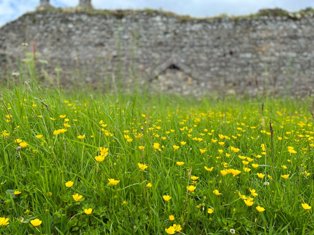 Irish Layers of&nbsp;Texture